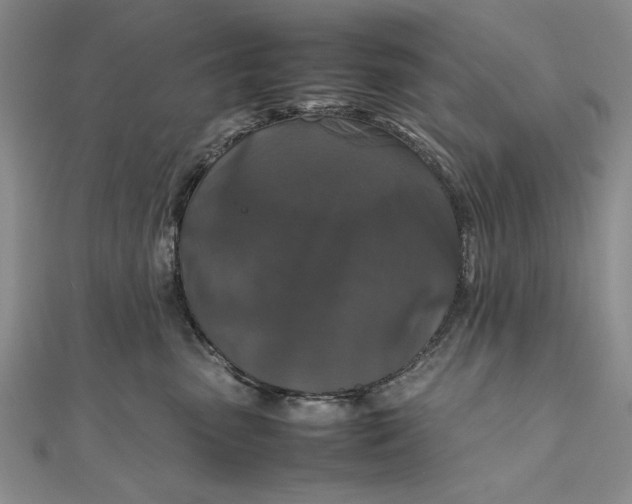 X0000111840475200908061257