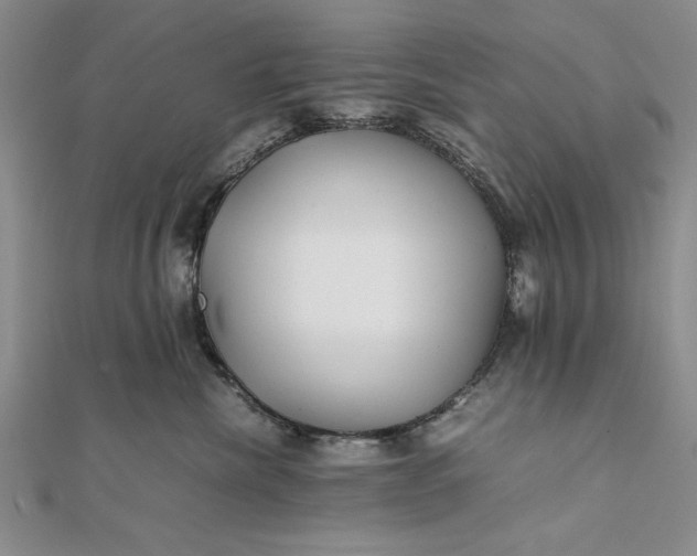 X0000111840476200908061257