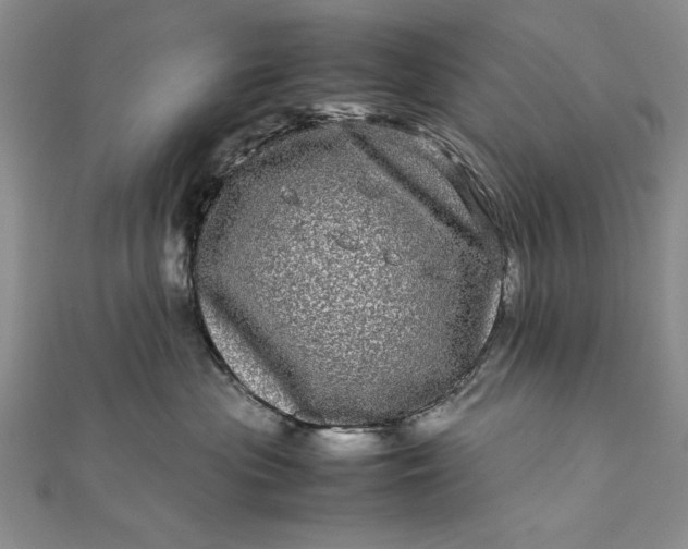 X0000111840477200908061257