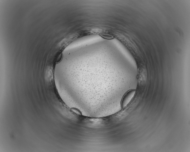 X0000111840478200908061257