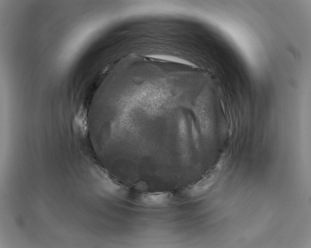 X0000111840479200908061257