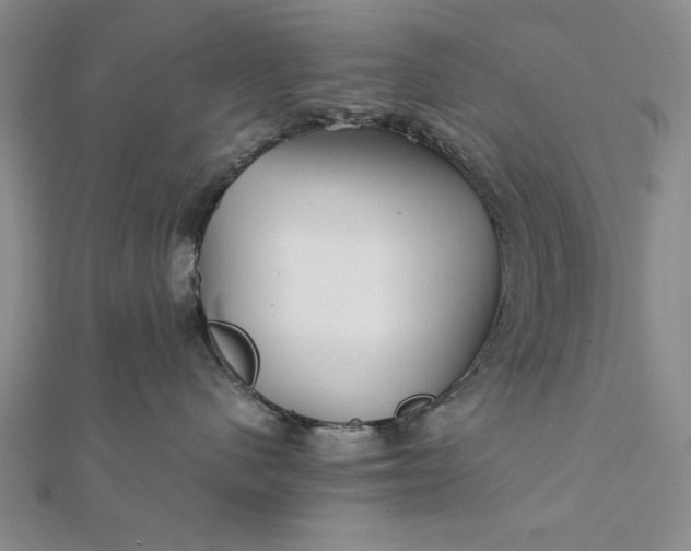 X0000111840480200908061257