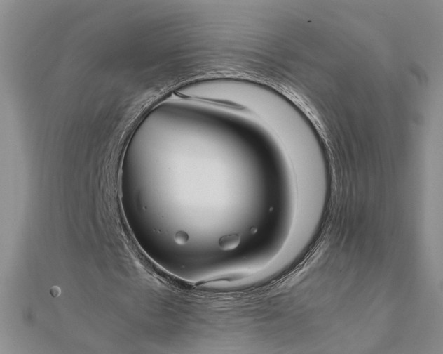 X0000111840481200908061257