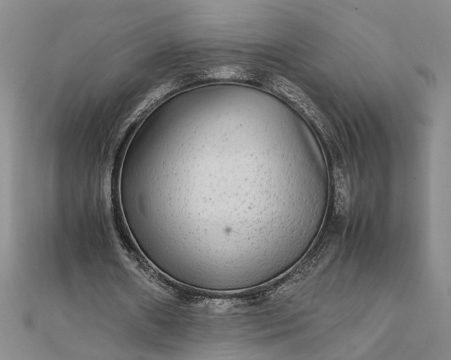 X0000111840482200908061257