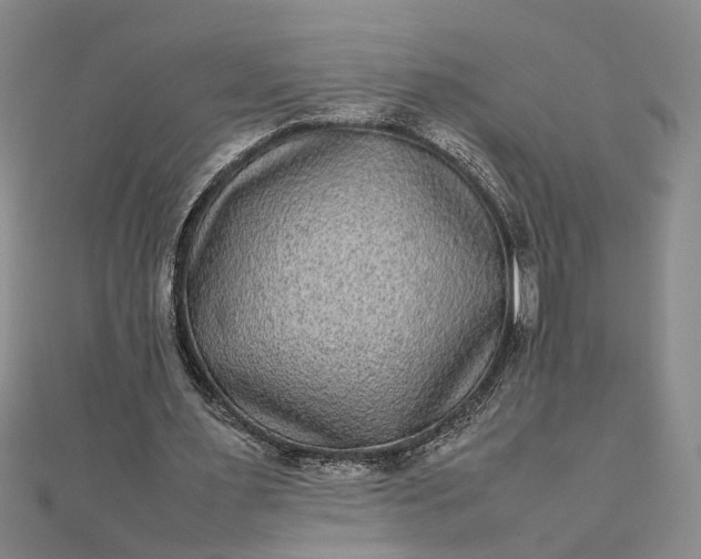 X0000111840483200908061256