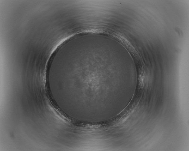 X0000111840484200908061256