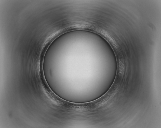 X0000111840486200908061256