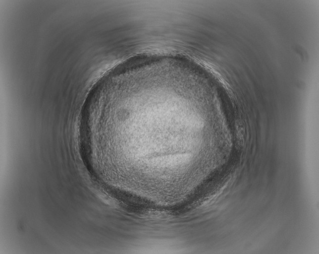 X0000111840487200908061256