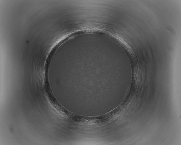 X0000111840488200908061256