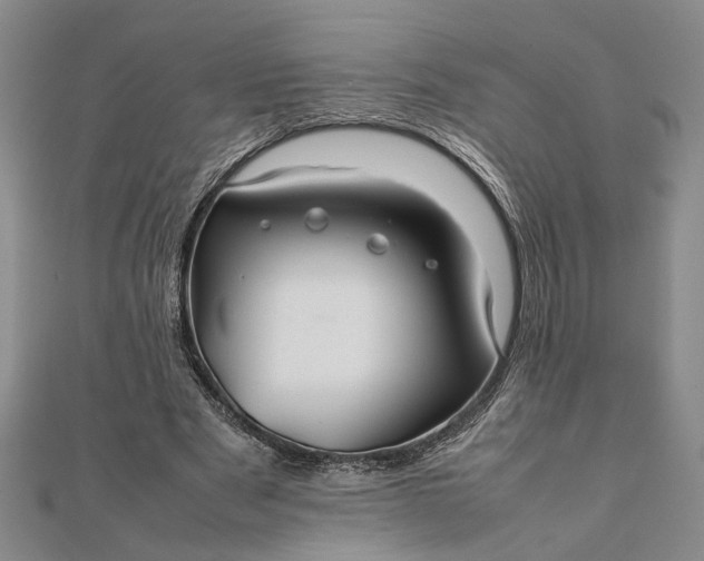 X0000111840489200908061256