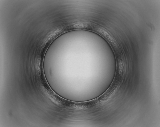 X0000111840490200908061256