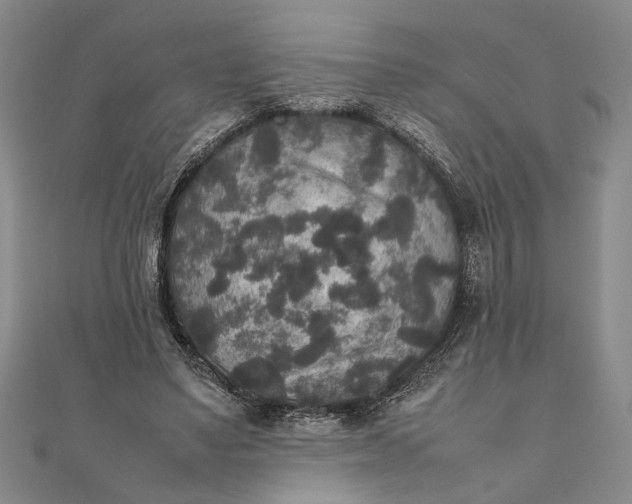 X0000111840491200908061256