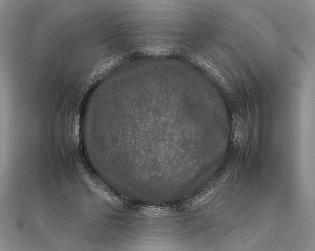 X0000111840494200908061256