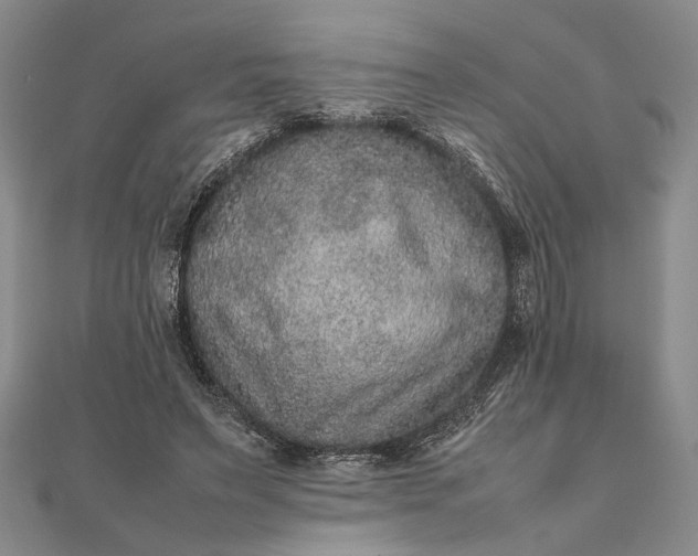 X0000111840495200908061256