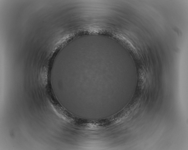 X0000111840496200908061256