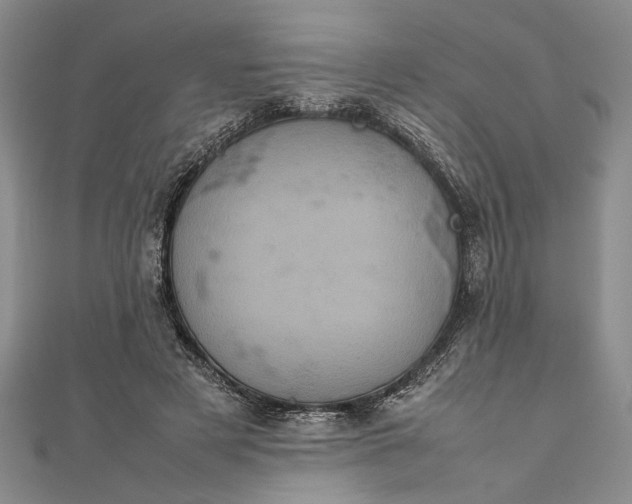 X0000111840497200908061256