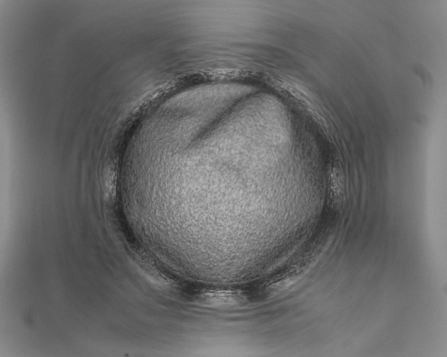 X0000111840499200908061256