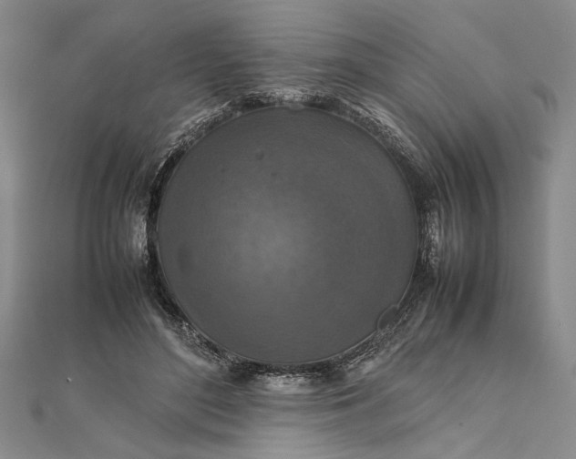 X0000111840500200908061256