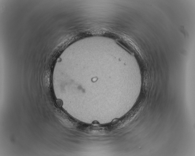 X0000111840501200908061256