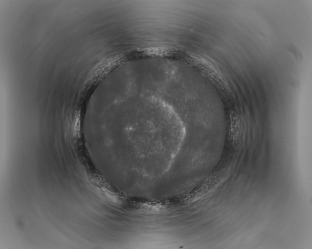 X0000111840502200908061256