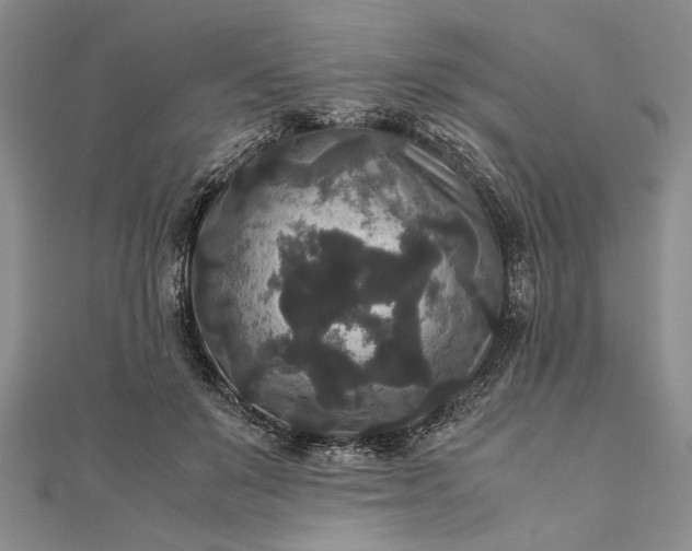 X0000111840503200908061256