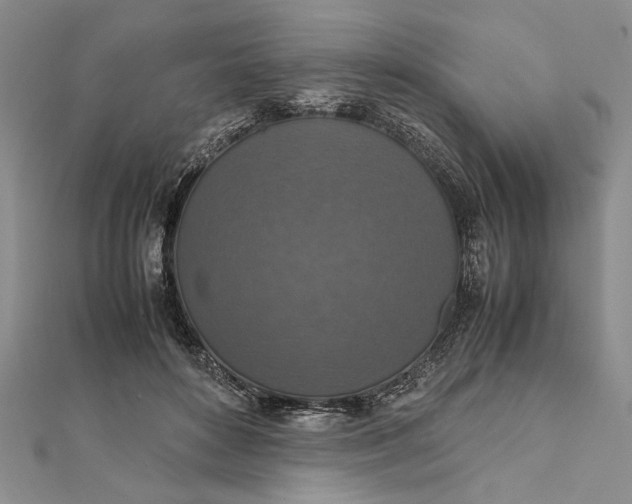 X0000111840504200908061256