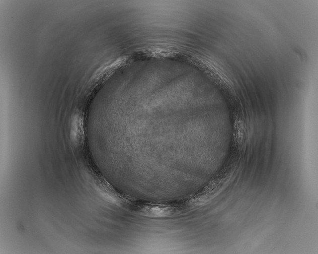 X0000111840506200908061256