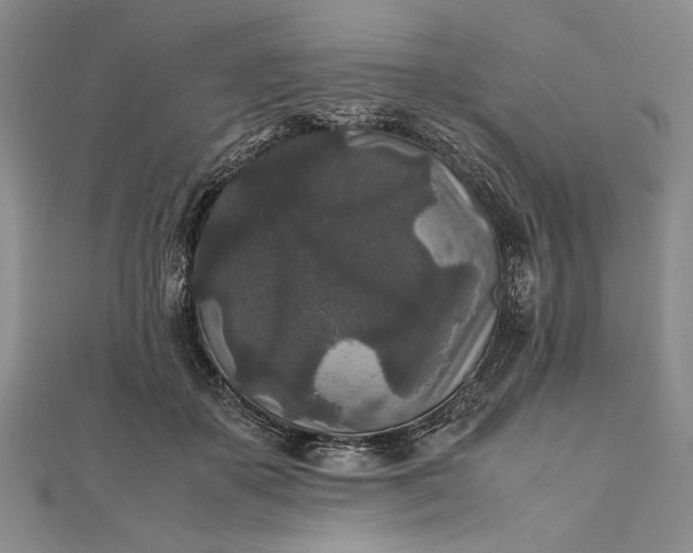 X0000111840507200908061256