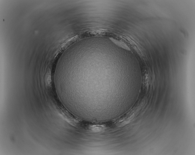 X0000111840508200908061256