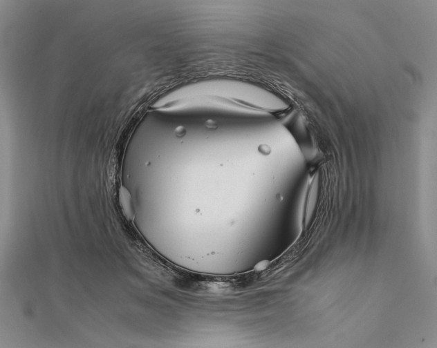 X0000111840509200908061256