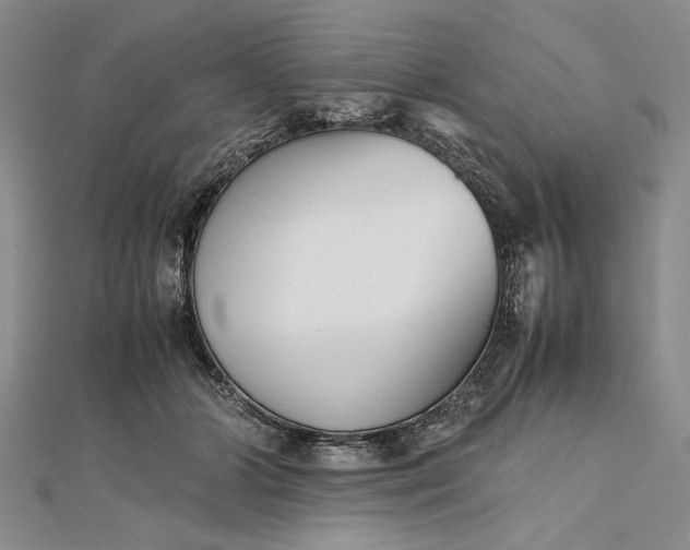 X0000111840510200908061256