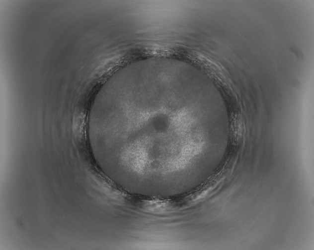 X0000111840511200908061256