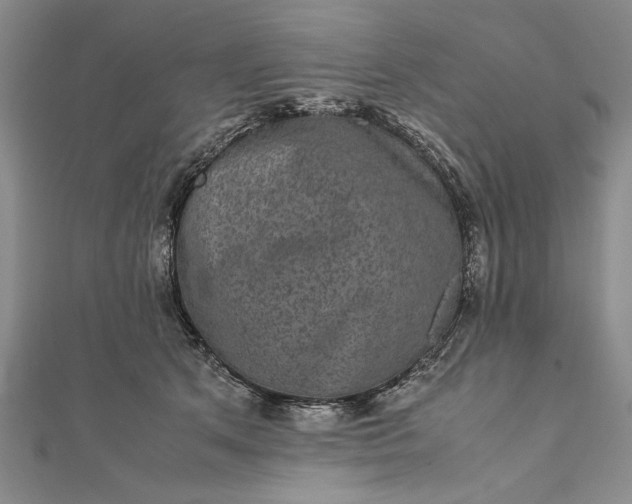 X0000111840513200908061256