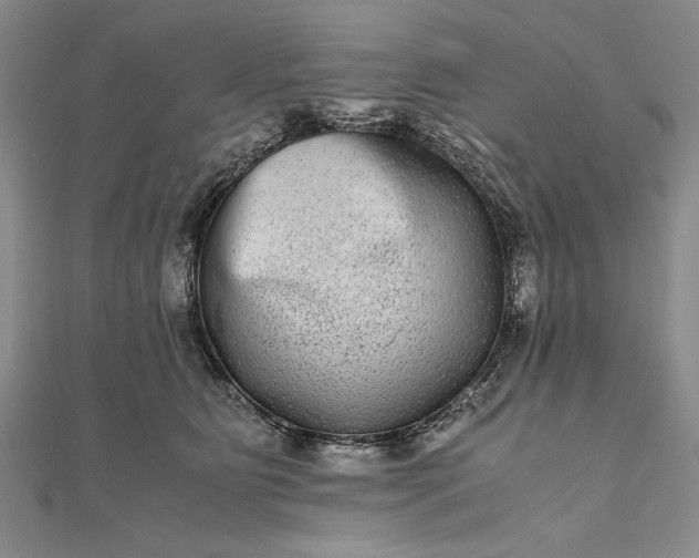 X0000111840515200908061256