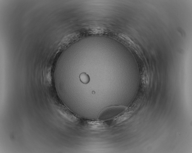 X0000111840516200908061256