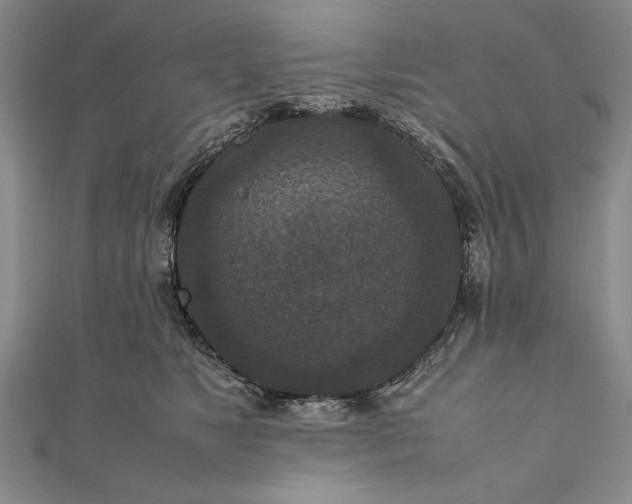 X0000111840517200908061256