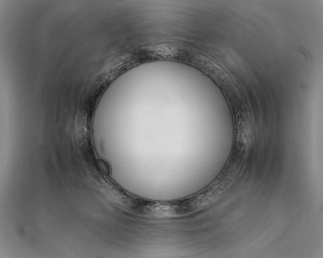 X0000111840518200908061256