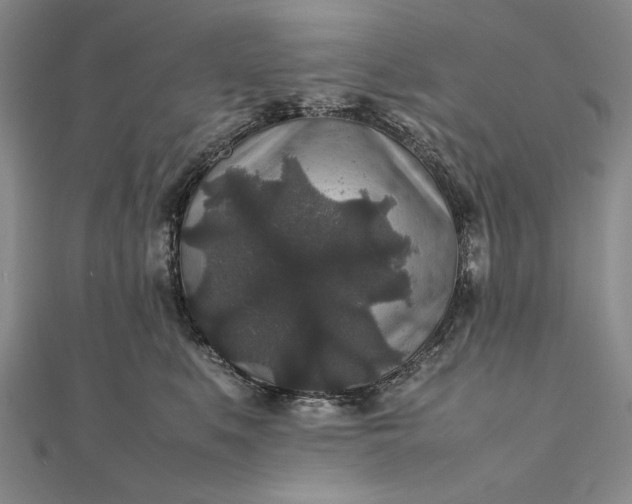 X0000111840519200908061256