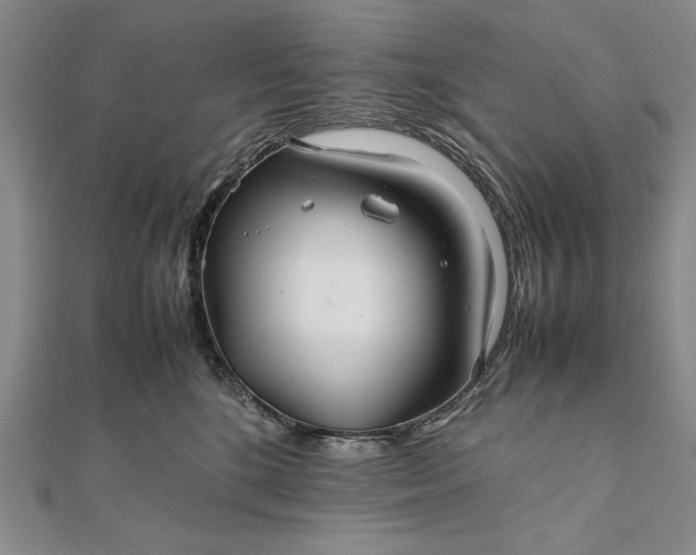 X0000111840520200908061256