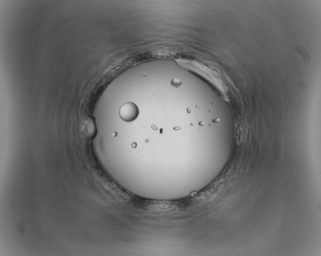 X0000111840521200908061256