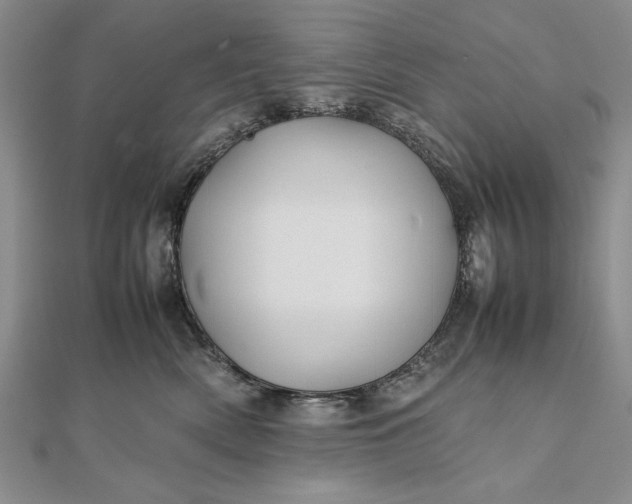 X0000111840522200908061256