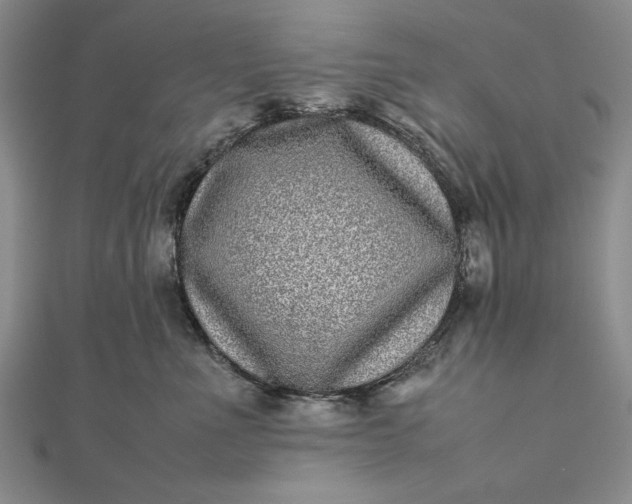 X0000111840523200908061256