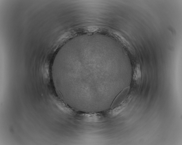 X0000111840524200908061256