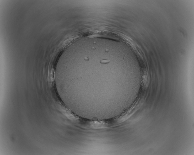 X0000111840525200908061256