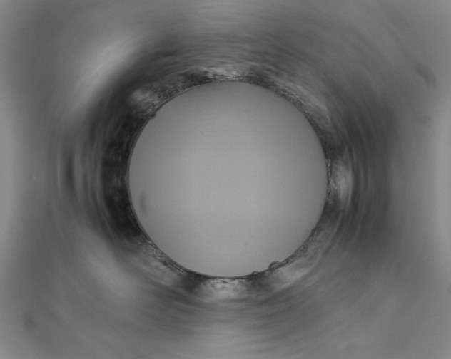 X0000111840526200908061256