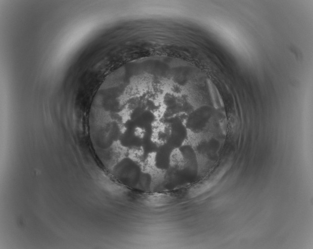 X0000111840527200908061256