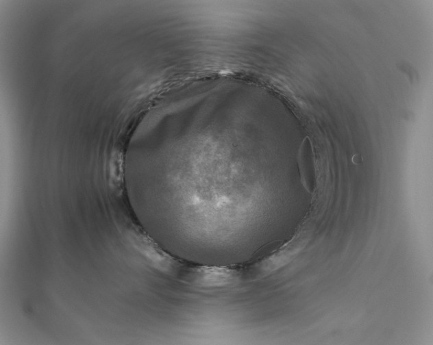 X0000111840528200908061256