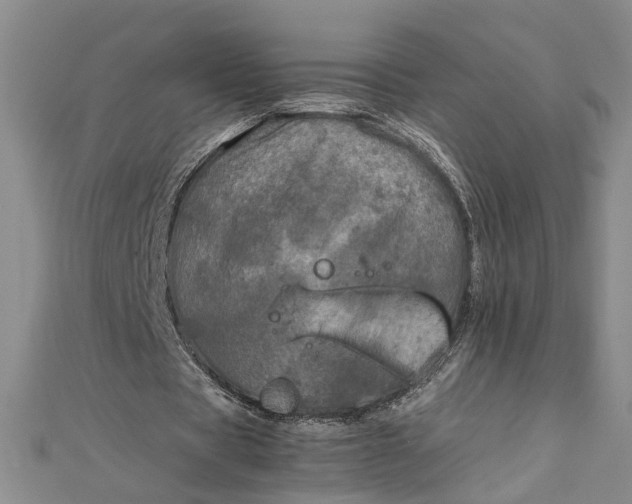 X0000111840529200908061255