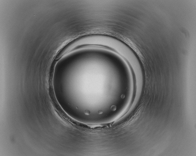 X0000111840530200908061255