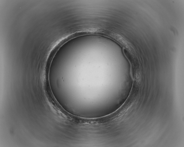 X0000111840532200908061255